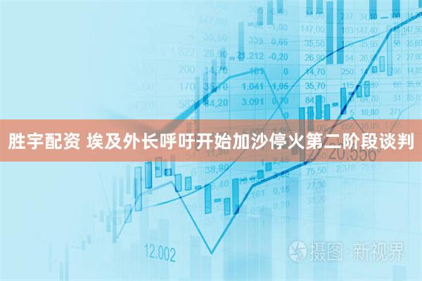 胜宇配资 埃及外长呼吁开始加沙停火第二阶段谈判