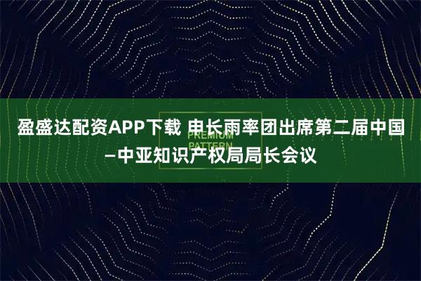 盈盛达配资APP下载 申长雨率团出席第二届中国—中亚知识产权局局长会议